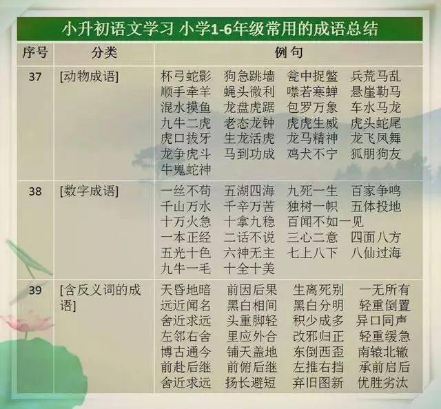 2025澳门天天开好彩大全蛊|讲解词语解释释义