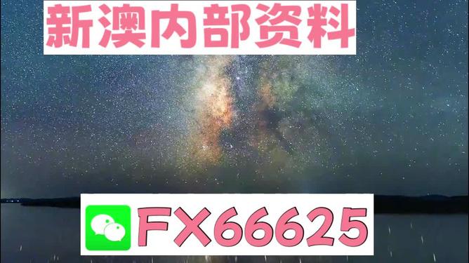 新澳门马会资料10码中特,新澳门马会资料10码中特，探索与解析