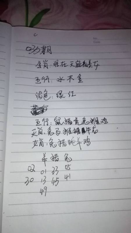 三肖必中特三肖三码的答案|综合研究解释落实