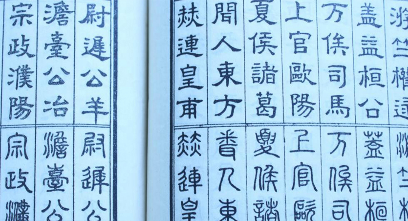 王中王中特六肖中特,王中王中特六肖中特的奥秘