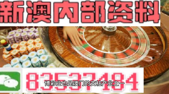 新澳门资料大全正版资料2025|文明解释解析落实