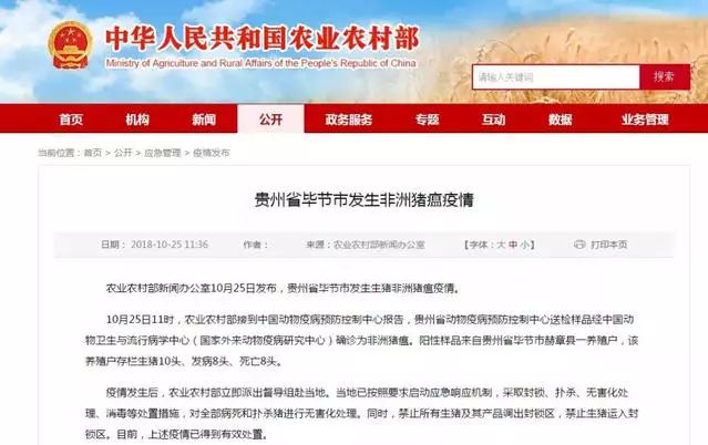 快评 第506页