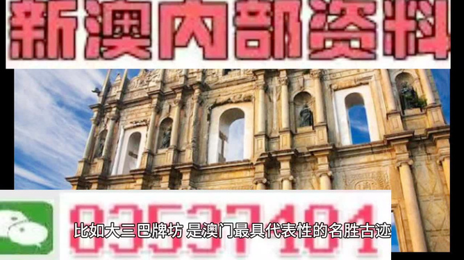 新澳门正版免费资料怎么查,精选资料解析大全