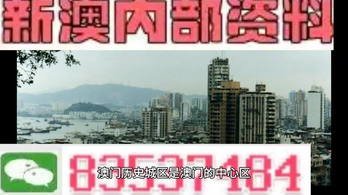 澳门最精准正最精准龙门客栈免费,精选资料解析大全