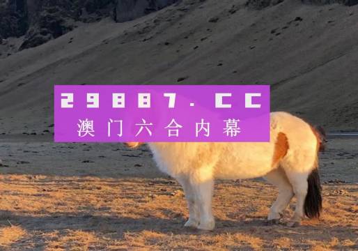 2004年新澳门一肖一码,探索2004年新澳门一肖一码的秘密