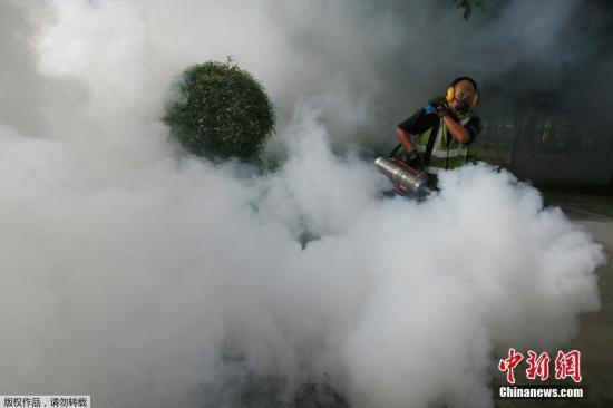 黄大仙正版免费资料,黄大仙正版免费资料，解读与探索