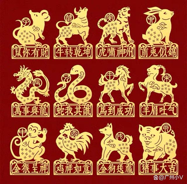 2025澳门精准正版生肖图,澳门正版生肖图，探索2025年精准生肖运势预测