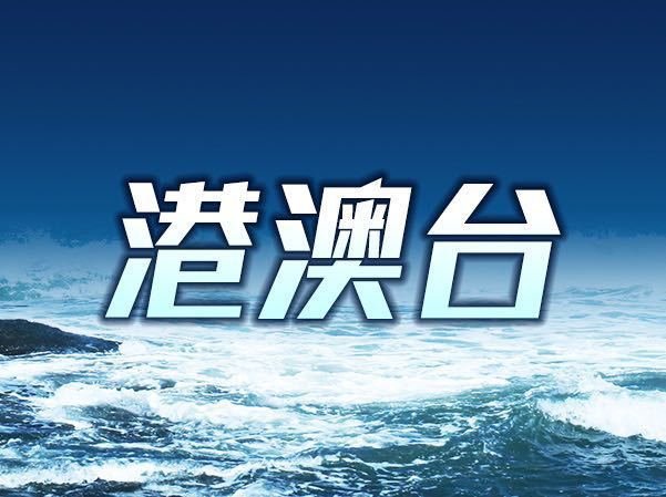 新澳门中特期期精准,新澳门中特期期精准的奥秘与探索