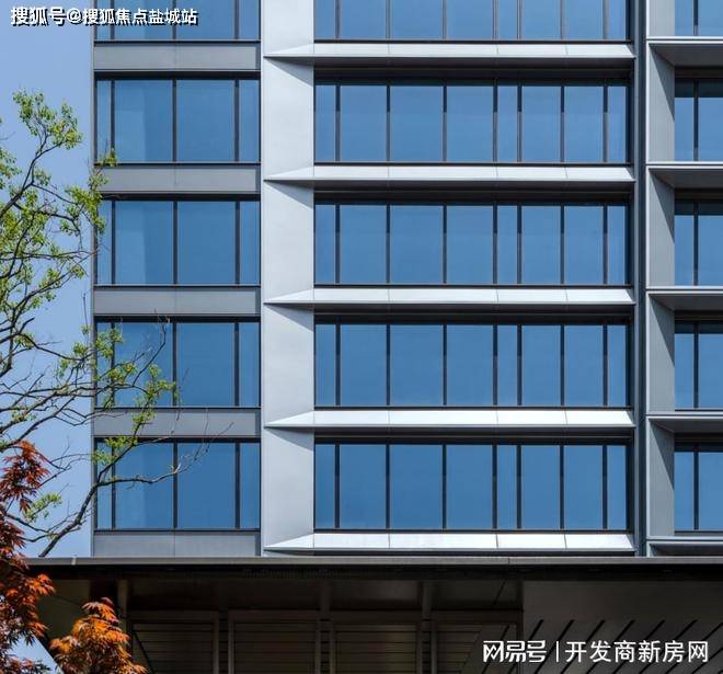 新澳正版资料大全免费图片,探索新澳正版资料大全，免费图片资源的深度解析