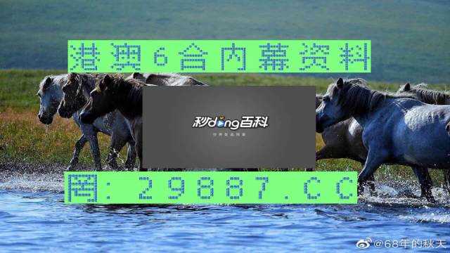 马会传真,澳门免费资料,马会传真与澳门免费资料，探索与解析