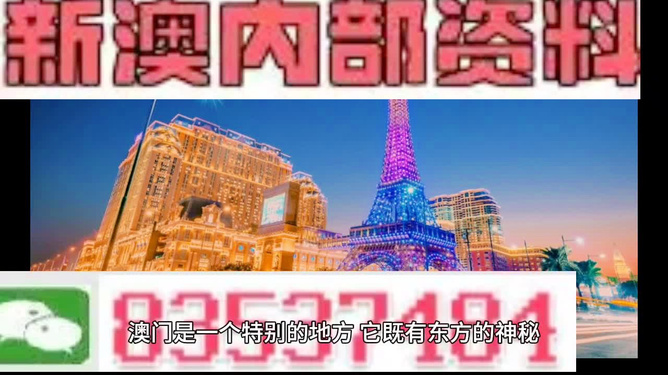 新澳门今晚平特一肖,新澳门今晚平特一肖的奥秘与探索