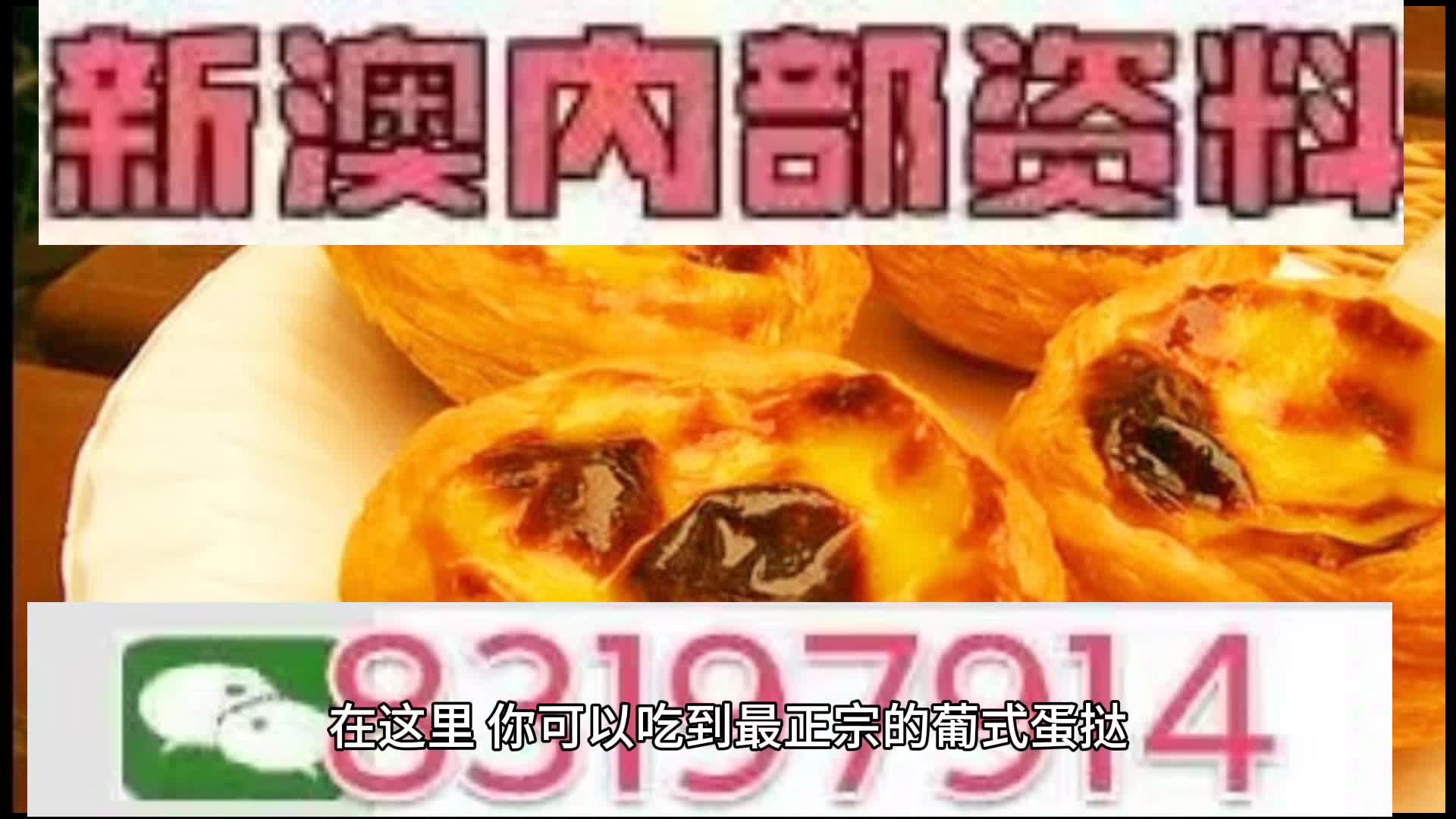 澳门中特网的网站,澳门中特网网站的发展与影响