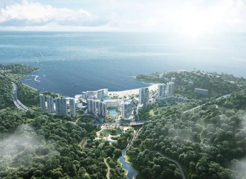 2025年白小姐四肖期期准,探索未来，白小姐四肖期期准的预测与解析（2025年展望）