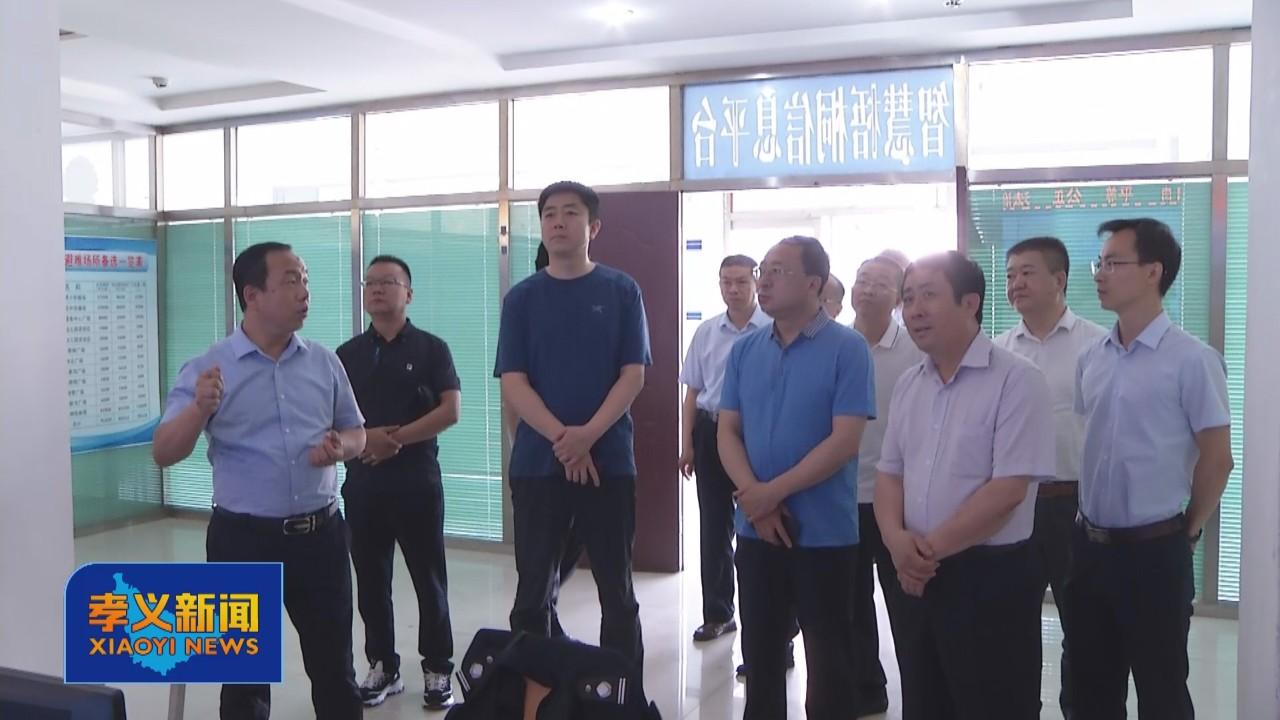揭秘2025年新奥正版资料免费,揭秘2025年新奥正版资料免费，探寻真实与机遇的交汇点