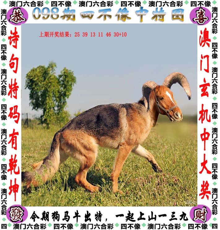 香港四不像资料图正版,香港四不像资料图正版的重要性及其价值
