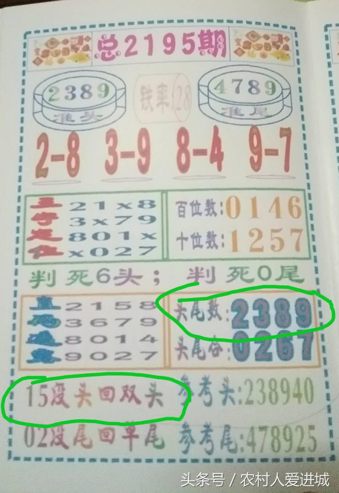 新澳门一肖中100%期期准,揭秘新澳门一肖中100%期期准的奥秘