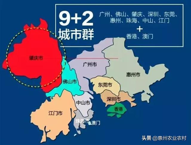 2025年澳门历史记录,澳门历史记录，走向未来的2025年